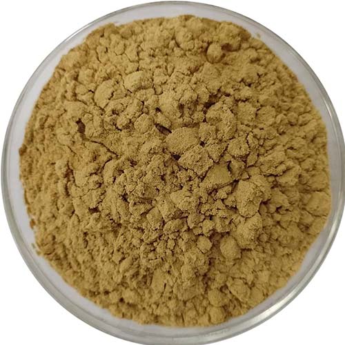 Industrial Adhesive Powder Manufacturer