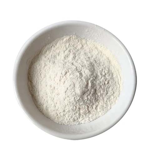 Paper Cone Gum Cold Exporter in Saudi Arabia