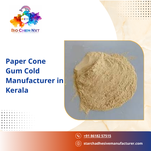 Paper Cone Gum Cold Manufacturer in Kerala