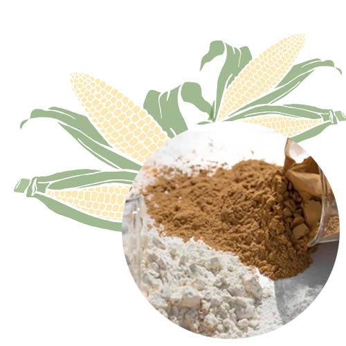 Paper Cone Gum Cold Manufacturer