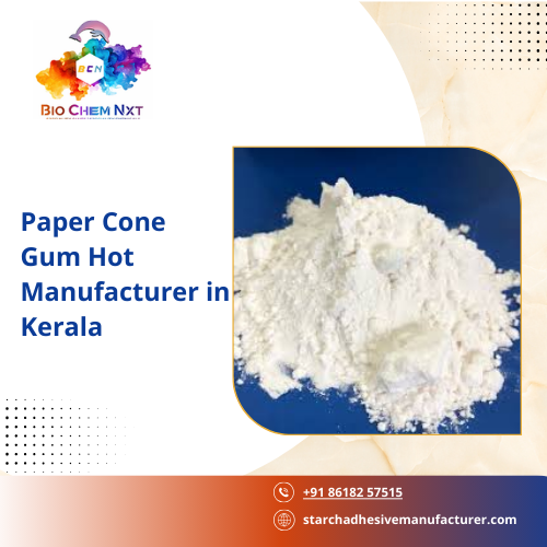 Paper Cone Gum Hot Manufacturer in Kerala
