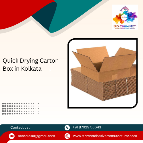 Quick Drying Carton Box in Kolkata 
