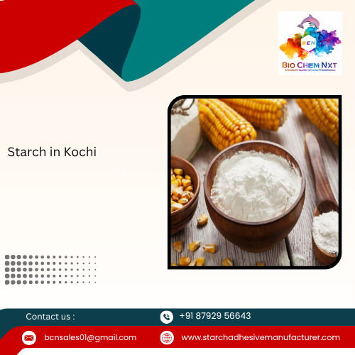 Starch in Kochi 