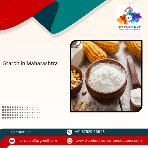 Starch in Maharashtra 