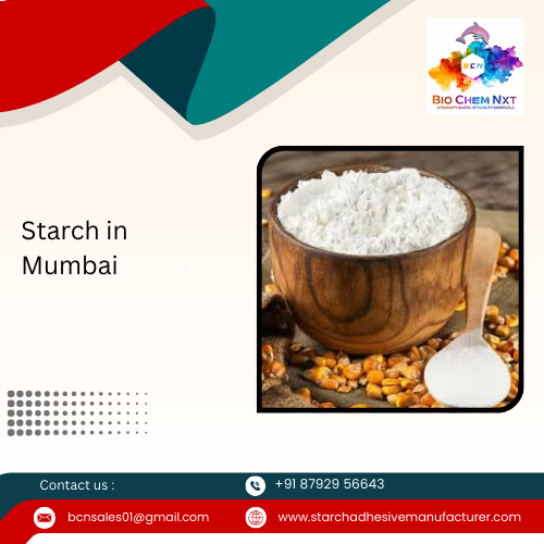 Starch in Mumbai 
