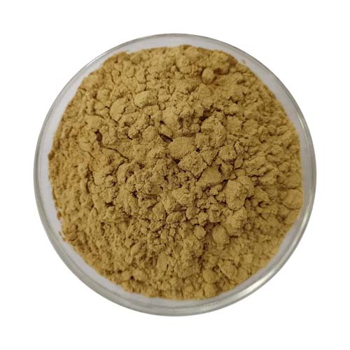 Yellow Dextrin Powder Exporter in Qatar