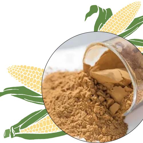 Yellow Dextrin Powder Manufacturer in Bangalore